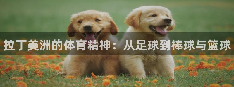 球客岛：拉丁美洲的体育精神：从足球到棒球与篮球