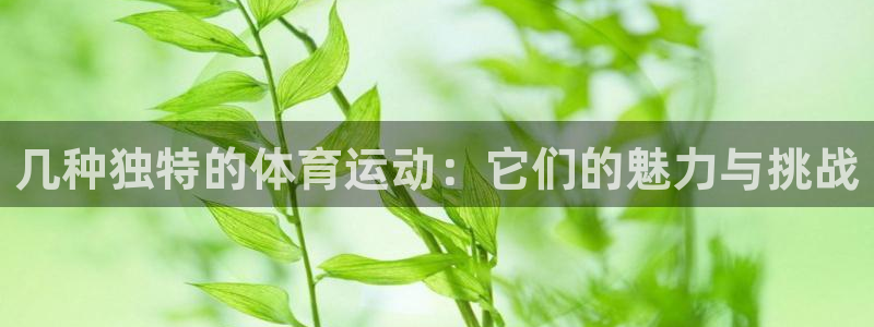 球客岛