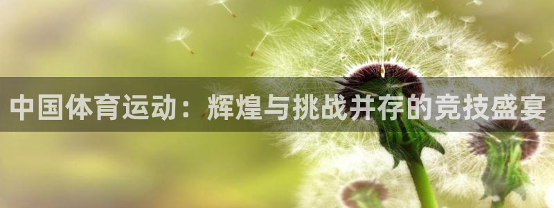 球客岛：中国体育运动：辉煌与挑战并存的竞技盛宴