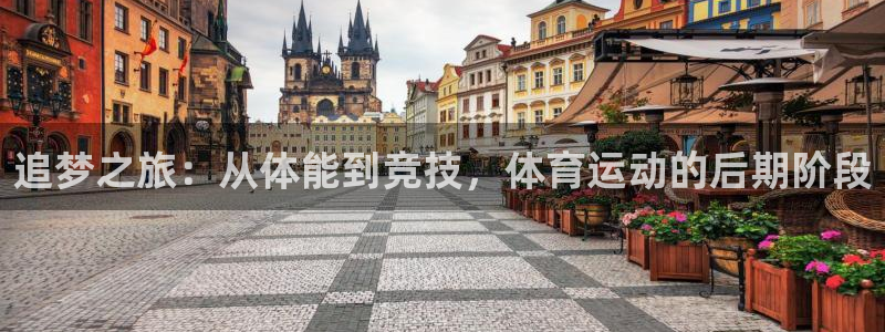 球客岛：追梦之旅：从体能到竞技，体育运动的后期阶段