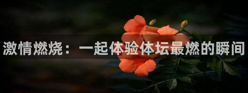球客岛