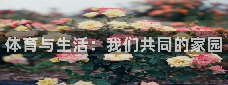球客岛：体育与生活：我们共同的家园