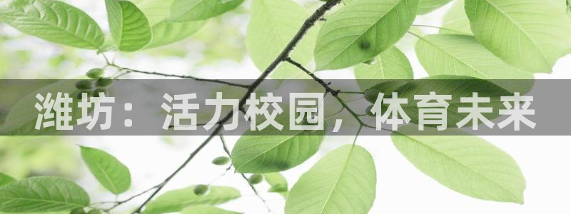 球客岛：潍坊：活力校园，体育未来