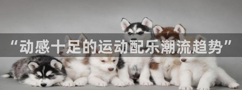 球客岛：“动感十足的运动配乐潮流趋势”