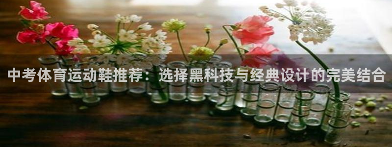 球客岛：中考体育运动鞋推荐：选择黑科技与经典设计的完美结合